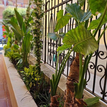 Suebi Rooms Termoli Exterior photo
