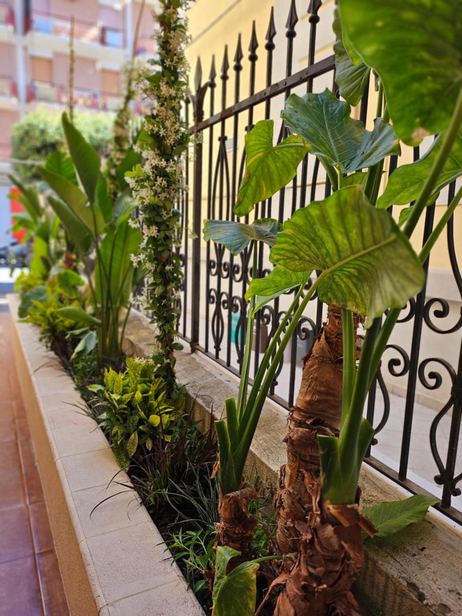 Suebi Rooms Termoli Exterior photo